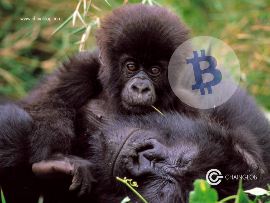 Virunga bitcoin gorilla