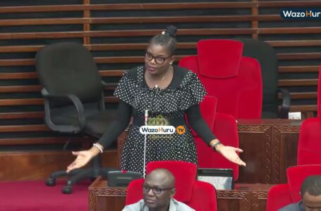 Une députée appelle la Tanzanie à investir dans le bitcoin