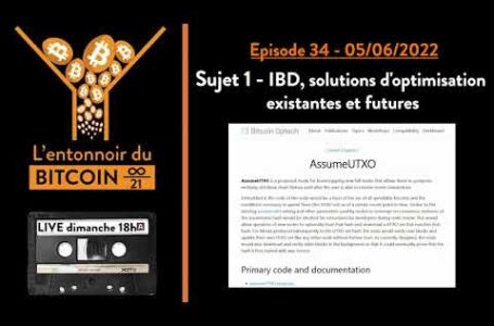IBD, solutions d’optimisation existantes et futures [Entonnoir du Bitcoin #34]
